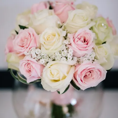 Degli Amici Отель 3*